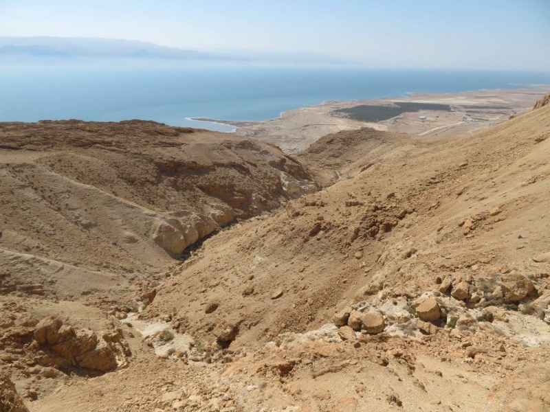 קובץ:נחלהשומרמחרס.jpg