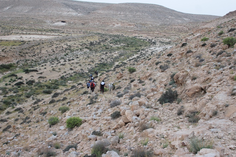 קובץ:נקב חוצה שלוחה.JPG