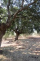 תמונה ממוזערת לגרסה מתאריך 01:41, 18 ביוני 2014