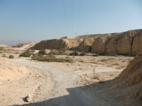 סוף השביל הלבן והגעה לערוץ הנחל.JPG
