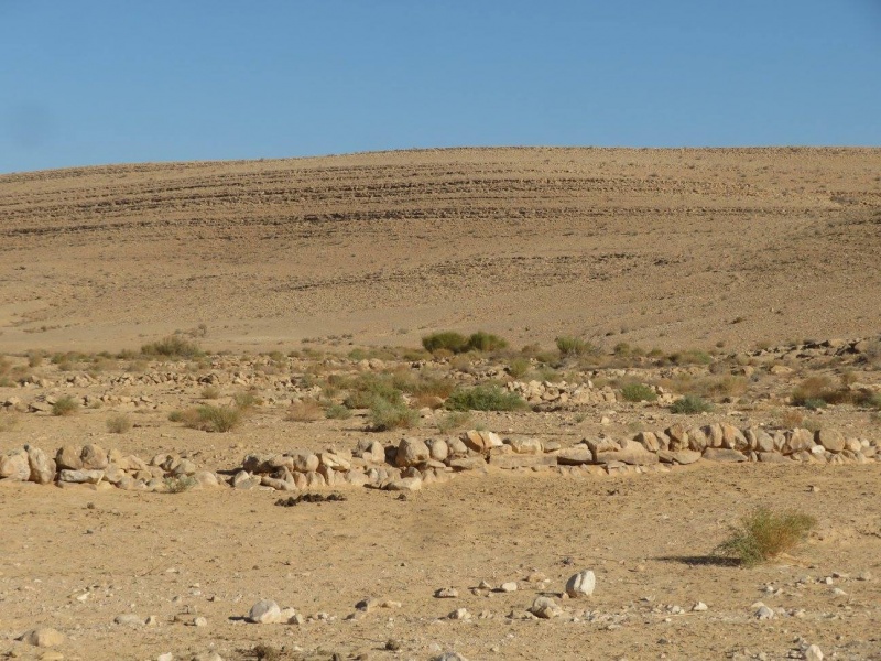 קובץ:סכריםיובליפרוק.jpg