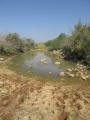 תמונה ממוזערת לגרסה מתאריך 16:37, 6 במאי 2015