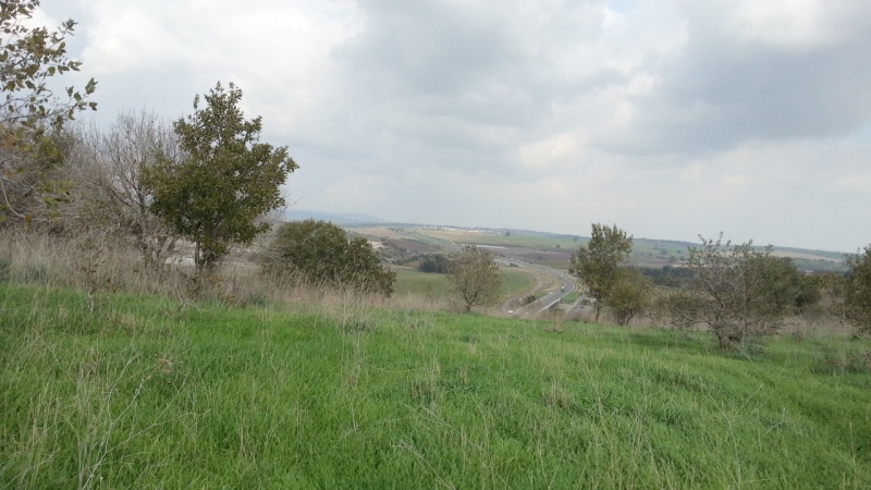 קובץ:סמסונג 3 2012 12 10 021.jpg