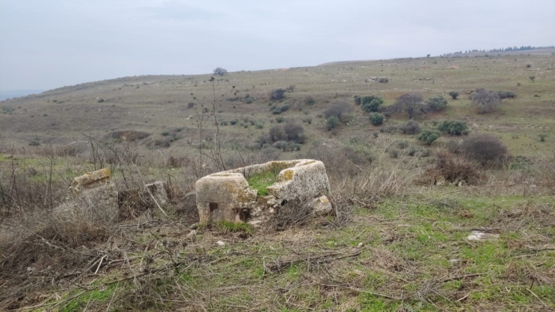 קובץ:סרקופג תל קדש.jpg