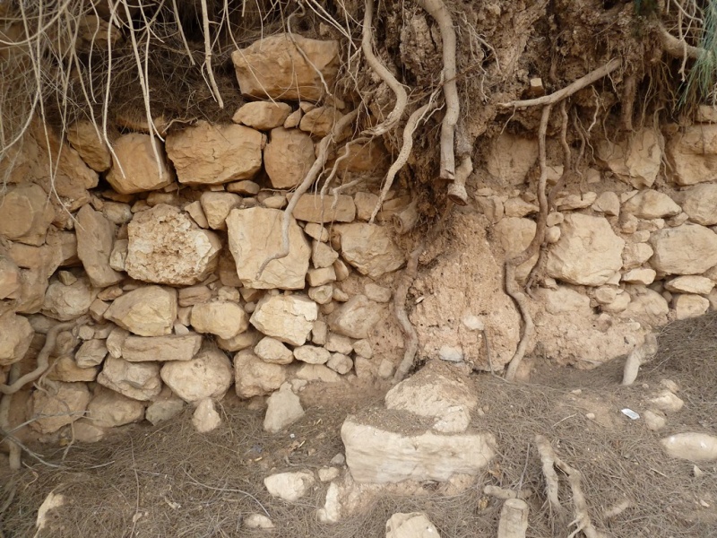 קובץ:עוד שרידי ביצור בתל מסכה.JPG