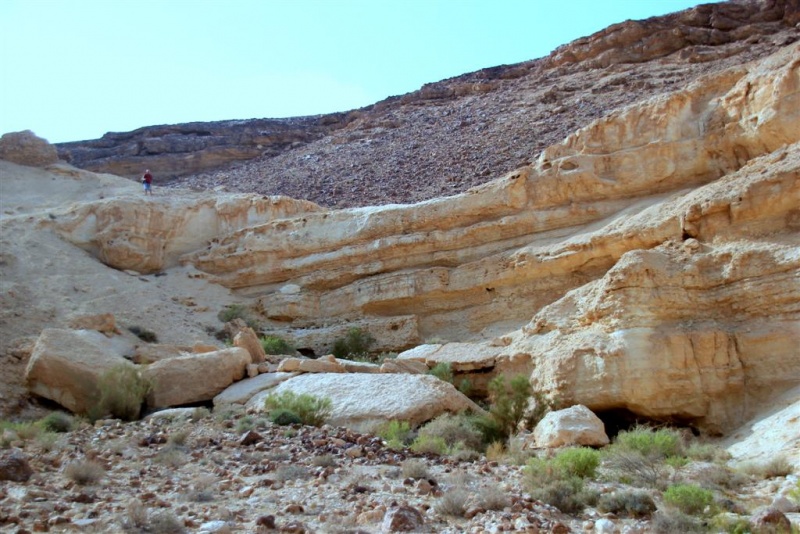 קובץ:עותק של IMG 4543.JPG