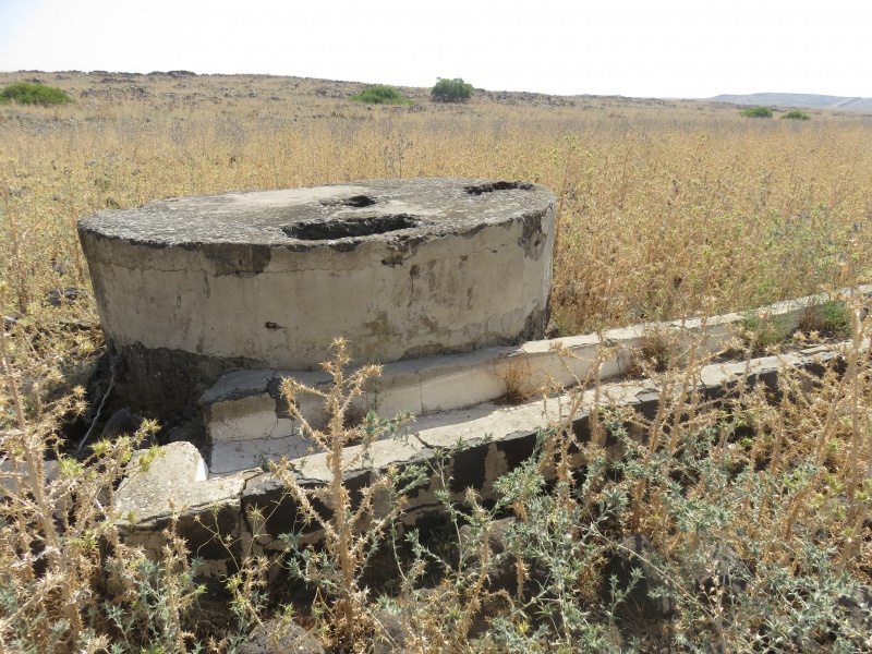 קובץ:עיןשבלת.JPG