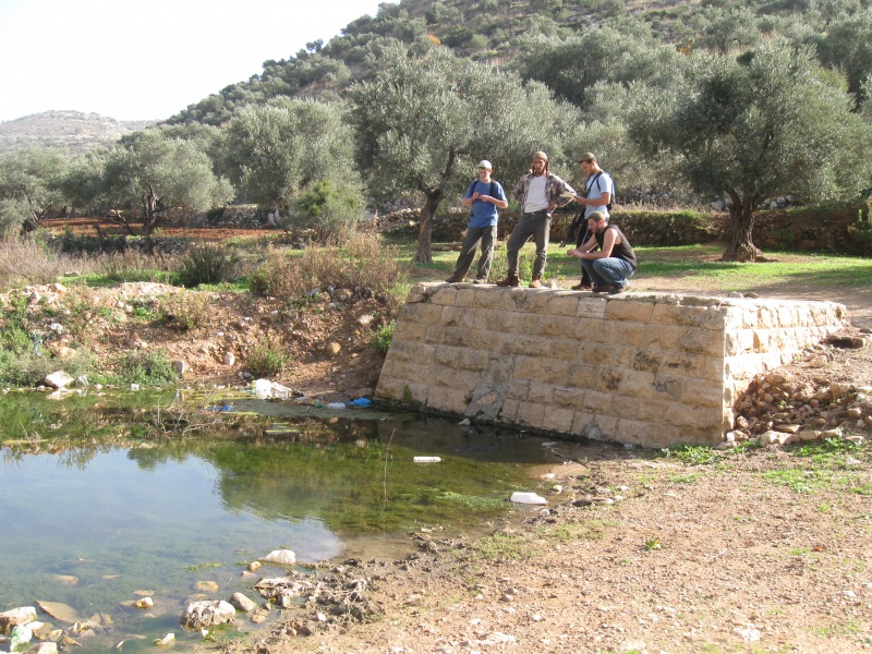 קובץ:עין ארטבה.JPG