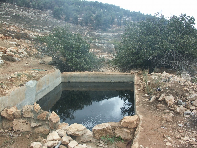 קובץ:עין פטלים.jpg