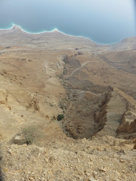 קובץ:עכיןסלמעלה.jpg