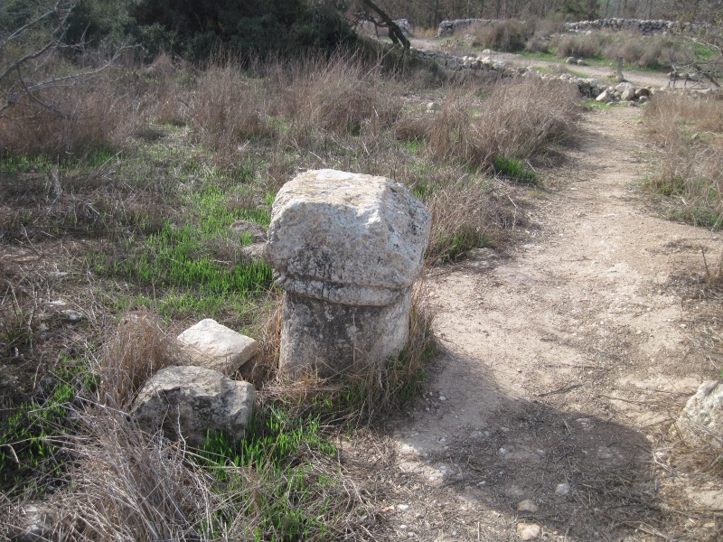 קובץ:עמודשקלון.JPG