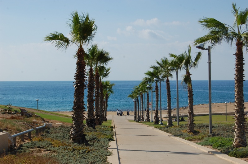 קובץ:פארק מדרון יפו.JPG