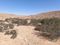 תמונה ממוזערת לגרסה מתאריך 05:31, 16 באוקטובר 2025
