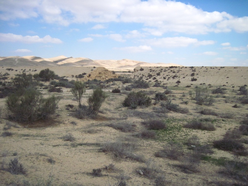 קובץ:פריצתסכרכוכב.JPG