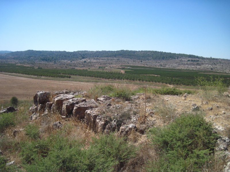 קובץ:צוראבנימלכים.JPG