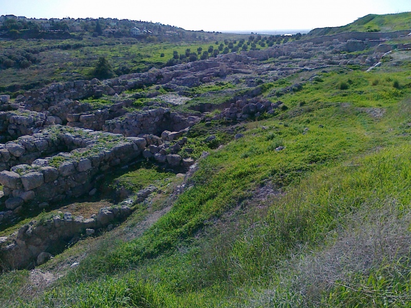 קובץ:צילום שמואל פישר 06062010 037.jpg