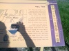 צילם שמואל פישר 06062010 052.jpg