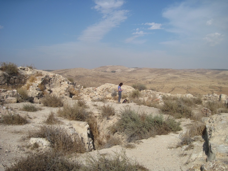 קובץ:צליתמיתר.JPG