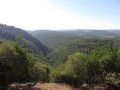 תמונה ממוזערת לגרסה מתאריך 16:16, 17 ביוני 2016