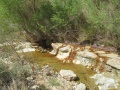 תמונה ממוזערת לגרסה מתאריך 13:55, 18 במרץ 2015