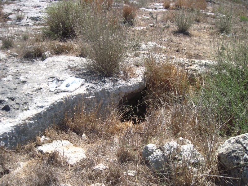 קובץ:קבורהדוודה.JPG