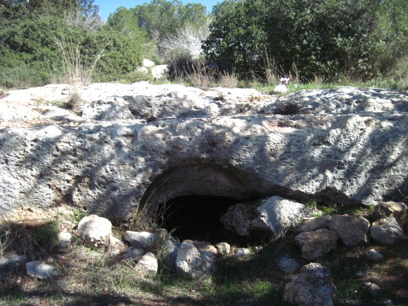 קובץ:קבראתר210.JPG