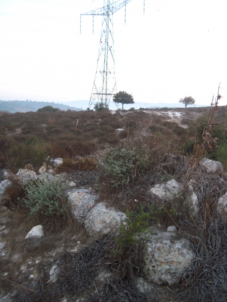 קובץ:קברכיפהעמודמתח.JPG