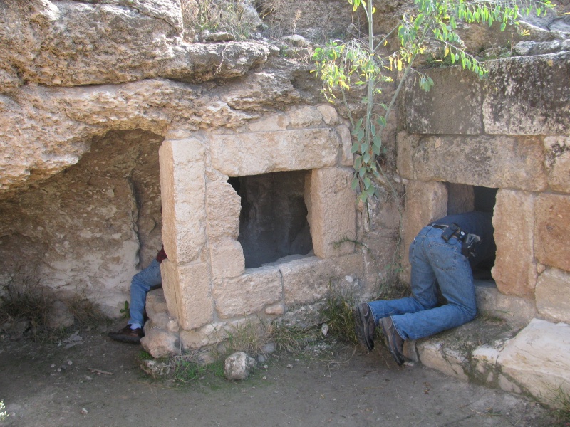 קובץ:קיברות המקבים וטיטורה 012.jpg