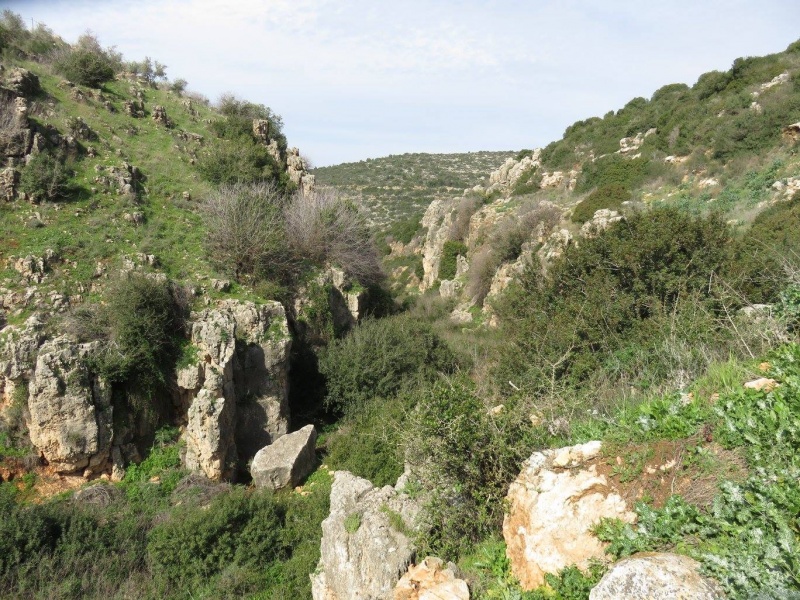 קובץ:קניוןנמרים.jpg