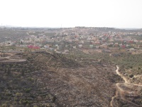 קרותבניחסן.JPG