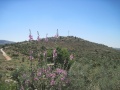 תמונה ממוזערת לגרסה מתאריך 15:29, 30 באפריל 2014