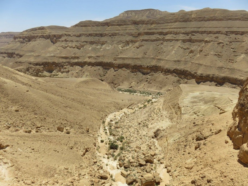 קובץ:ראשמפלכמוס.jpg