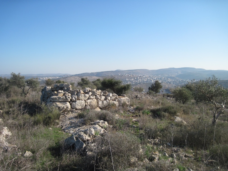 קובץ:רסזיד.JPG