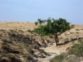 תמונה ממוזערת לגרסה מתאריך 09:40, 17 בנובמבר 2014