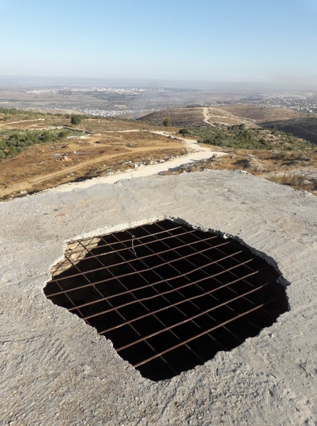 קובץ:שייחעומריא.jpg