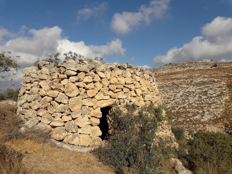 קובץ:שמרהבתעין.jpg