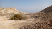 שקע הדמיה דרך-המוצב 3 23.1.23 הר-סדום-1.jpeg