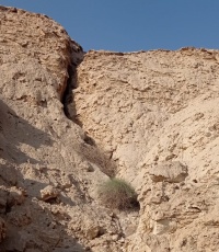 שרביטן ריסני דרך-המוצב 3 23.1.23 הר-סדום-2.jpeg