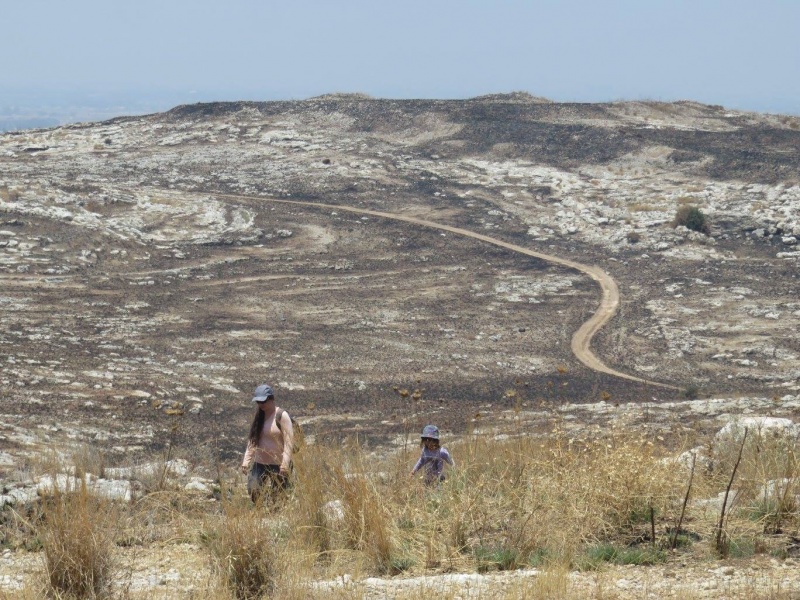 קובץ:תלדלית.jpg