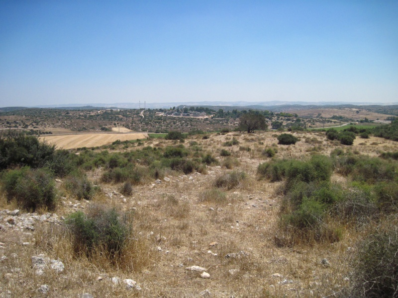 קובץ:תלעתר.JPG