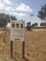 תמונה ממוזערת לגרסה מתאריך 14:15, 25 ביולי 2025