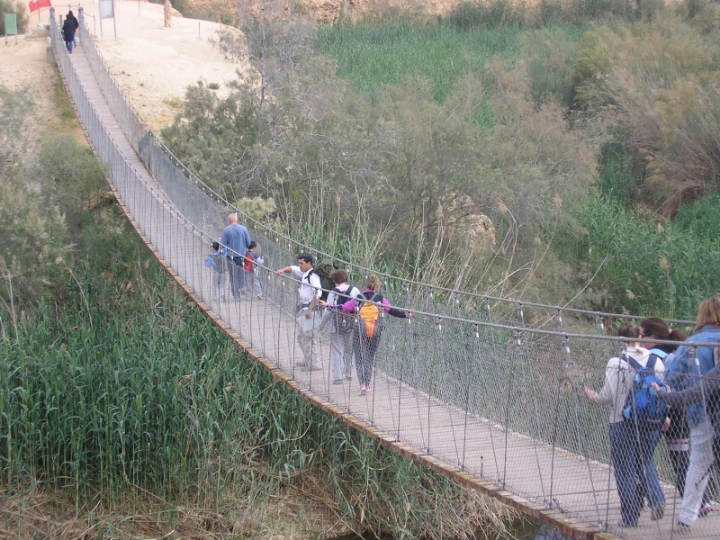 קובץ:תמונות יוסי לוי 1 007.jpg