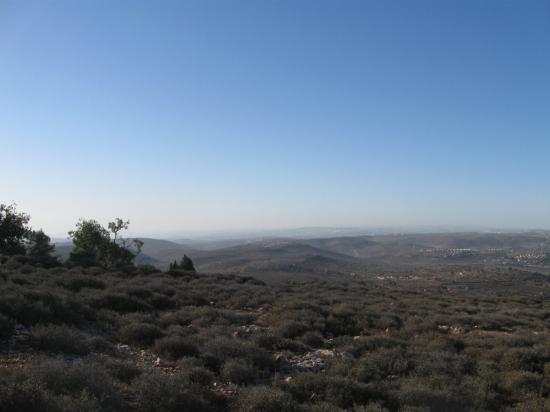 קובץ:תמונת מיהודה 292.JPG