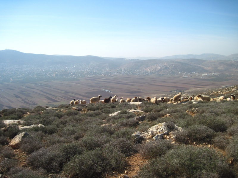 קובץ:תצפיתטריג704.JPG