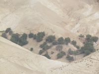 תצפית ואדי קלט - עין קלט.JPG