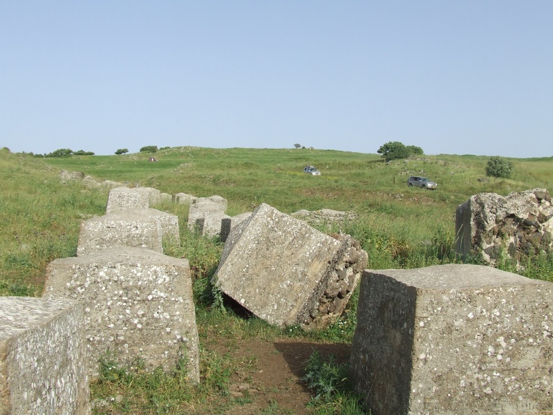 קובץ:02-04-2010 17-00-17.JPG