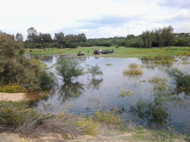 קובץ:10407359 670657916364894 342742981222257107 n.jpg