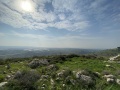 תמונה ממוזערת לגרסה מתאריך 12:03, 5 בינואר 2021