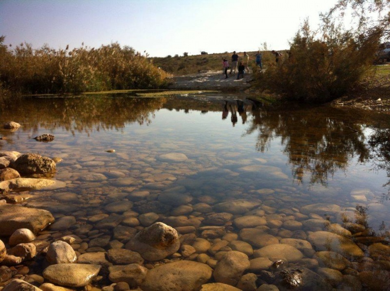 קובץ:1458520 854899051274112 4860209274705294097 n.jpg