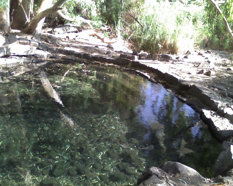 קובץ:16Jun 0001.jpg